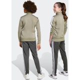 adidas Sportswear - Tiberio - Trainingspak - Grijs