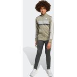 adidas Sportswear - Tiberio - Trainingspak - Grijs