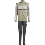 adidas Sportswear - Tiberio - Trainingspak - Grijs