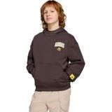 adidas - The Simpsons Hoodie - Kinderen - Bruin