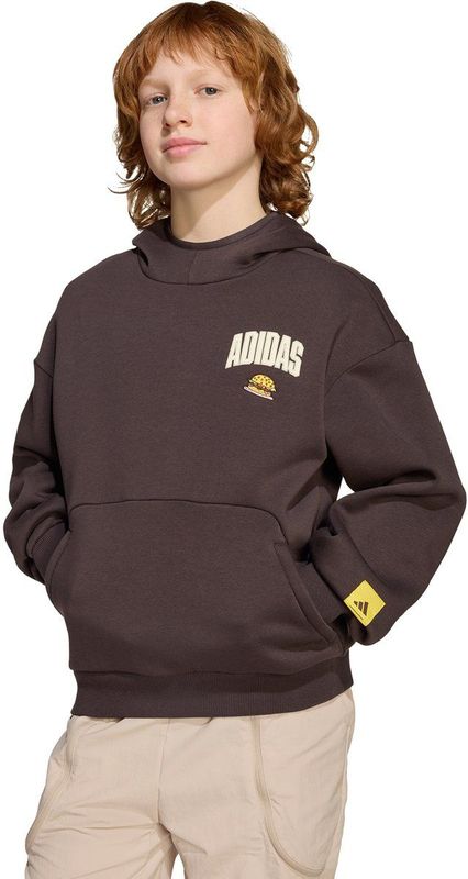 adidas - The Simpsons Hoodie - Kinderen - Bruin