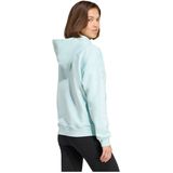 adidas Dames ESSENTIALS SMALL LOGO FEEL COZY HOODIE, halo mint/white, S