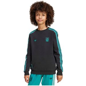 adidas - Liverpool FC Terrace Icons - Sweatshirt - Vintage - Lange Mouwen