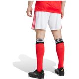 adidas - Short Domicile Benfica Lissabon 2025/26 - Voetbalschoenen
