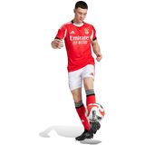 adidas - Short Domicile Benfica Lissabon 2025/26 - Voetbalschoenen