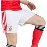 adidas - Short Domicile Benfica Lissabon 2025/26 - Voetbalschoenen
