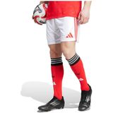 adidas - Short Domicile Benfica Lissabon 2025/26 - Voetbalschoenen