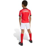 adidas - Benfica 25/26 - Mini Thuis Junior Set - Voetbaltenue