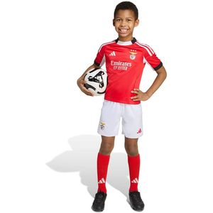 adidas - Benfica 25/26 - Mini Thuis Junior Set - Voetbaltenues