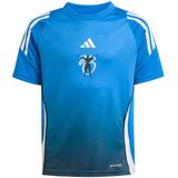 Adidas - Jude Bellingham - Training T-shirt - Met Korte Mouwen - Vochtregulerend AEROREADY