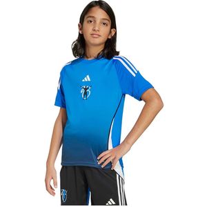 Adidas - Jude Bellingham - Training T-shirt - Met Korte Mouwen - Vochtregulerend AEROREADY
