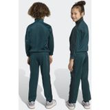 adidas Originals - Firebird - Trainingspak - Donkergroen