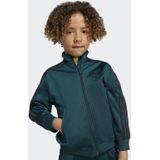 adidas Originals - Firebird - Trainingspak - Donkergroen