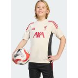 ADIDAS - Lfc Tr Jsy Y - Replica Voetbal Trainingshirt - Wit - Korte Mouw