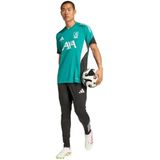 adidas - LFC EU TR JSY - Trainingshirt Replica Voetbal - Groen