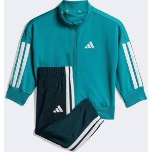 adidas - Sportswear - Trainingspak - Groen/Wit