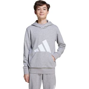 adidas - Sportswear Essentials - Hoodie - Grijs - Kinderen