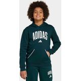 Hoodie - Aurora Ivy - Katoen/Polyester/Viscose - Regular Pasvorm