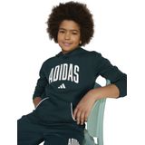 Hoodie - Aurora Ivy - Katoen/Polyester/Viscose - Regular Pasvorm