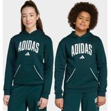 Hoodie - Aurora Ivy - Katoen/Polyester/Viscose - Regular Pasvorm