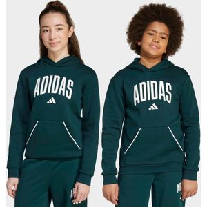 Hoodie - Aurora Ivy - Katoen/Polyester/Viscose - Regular Pasvorm