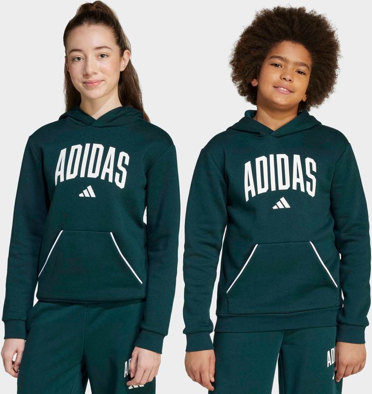 Hoodie - Aurora Ivy - Katoen/Polyester/Viscose - Regular Pasvorm