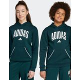 Hoodie - Aurora Ivy - Katoen/Polyester/Viscose - Sportief