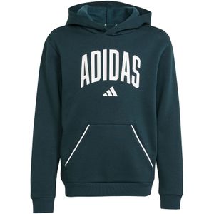 Hoodie - Aurora Ivy - Katoen/Polyester/Viscose - Sportief