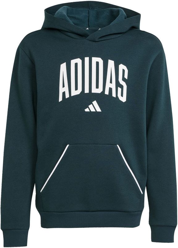 Hoodie - Aurora Ivy - Katoen/Polyester/Viscose - Sportief