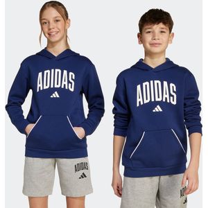 Hoodie - Dark Blue - 55% Katoen 36% Polyester 9% Viscose