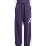 adidas - Sportswear Essentials - Joggingpak - Paars - Kinderen - 128