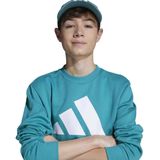 Sweater - Royblu/Wit - Katoen/Gerecycled Polyester/Viscose - Zachte Badstof