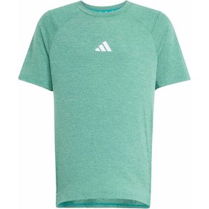 adidas Sportswear - Sportshirt - Lichtgroen - Kids - CLIMACOOL