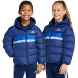 adidas SPORTSWEAR - Gewatteerde Korte Jas - Royal Blue/Koningsblauw/Lichtblauw/Donkblauw/Zilvergrijs