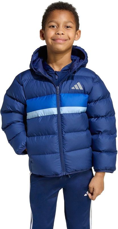 adidas SPORTSWEAR - Gewatteerde Korte Jas - Royal Blue/Koningsblauw/Lichtblauw/Donkblauw/Zilvergrijs