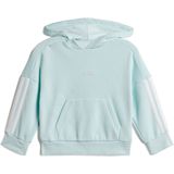 adidas 3Stripes Fleece Hoody - Trainingsjack - Groen - Katoen/Polyester