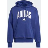 Collegiate Hoodie