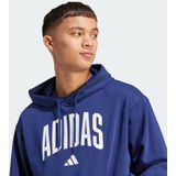 Collegiate Hoodie