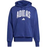 Collegiate Hoodie
