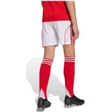 adidas - Domicile Kind - Short - Arsenal 2025/26