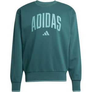 adidas Sportswear - Sweater - Groen