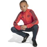 adidas - Bayern München - Trainingspak - Oranje Donkergrijs - Full-Zip 2025-2026 Kids