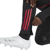 adidas Performance - AJAX TR PNT - Trainingsbroek - Zwart - Katoen