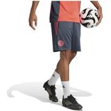 adidas - FC Bayern München - Voetbalshort - Grijs/Oranje - Materiaal: Polyester