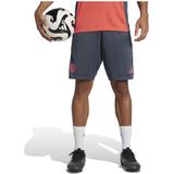 adidas - FC Bayern München - Voetbalshort - Grijs/Oranje - Materiaal: Polyester