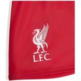 adidas - Liverpool Babykit Thuis 2025-2026 - Voetbaltenue