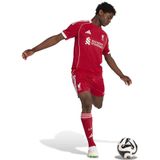 adidas - Liverpool FC 2025/26 - Korte Domicile Short