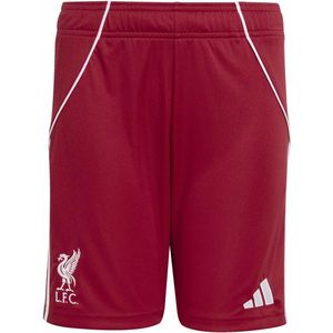 adidas - Korte Domicile - Kindershort - Liverpool FC 2025/26