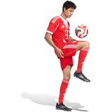 adidas - Domicile Bayern München 2025/26 - Sportbroek