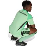 Adidas - Fc Bayern 25/26 - Voetbalkeepershirt - Zwart - 100% Polyester, AEROREADY